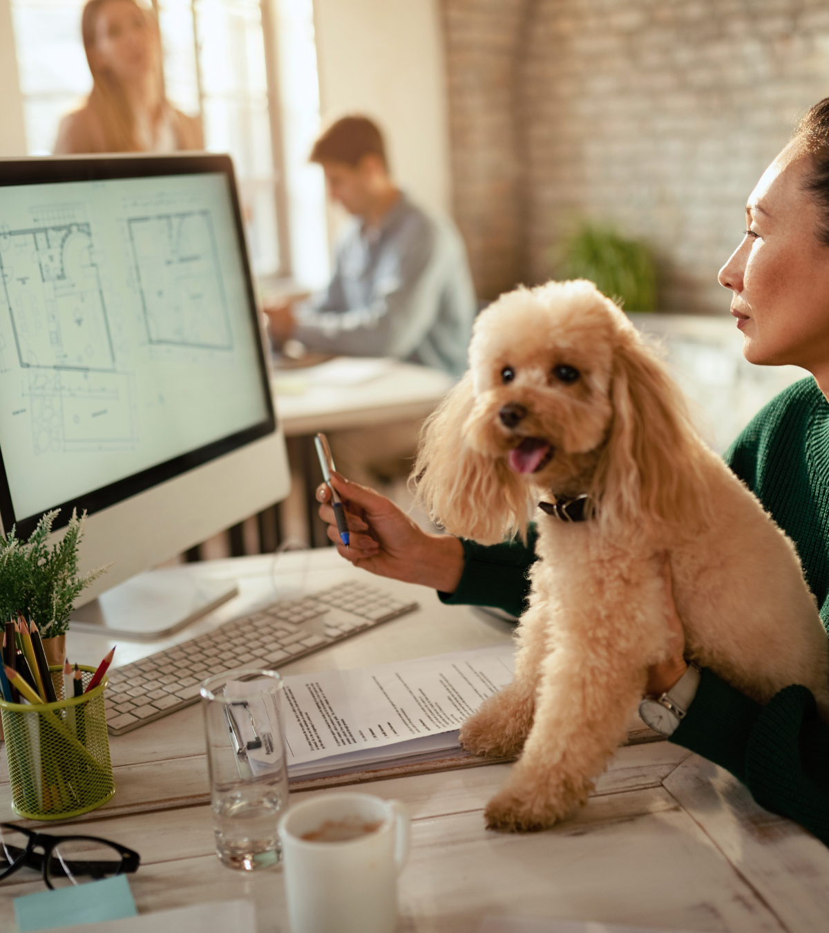 Network Computer Pros IT Support Architecture Firms