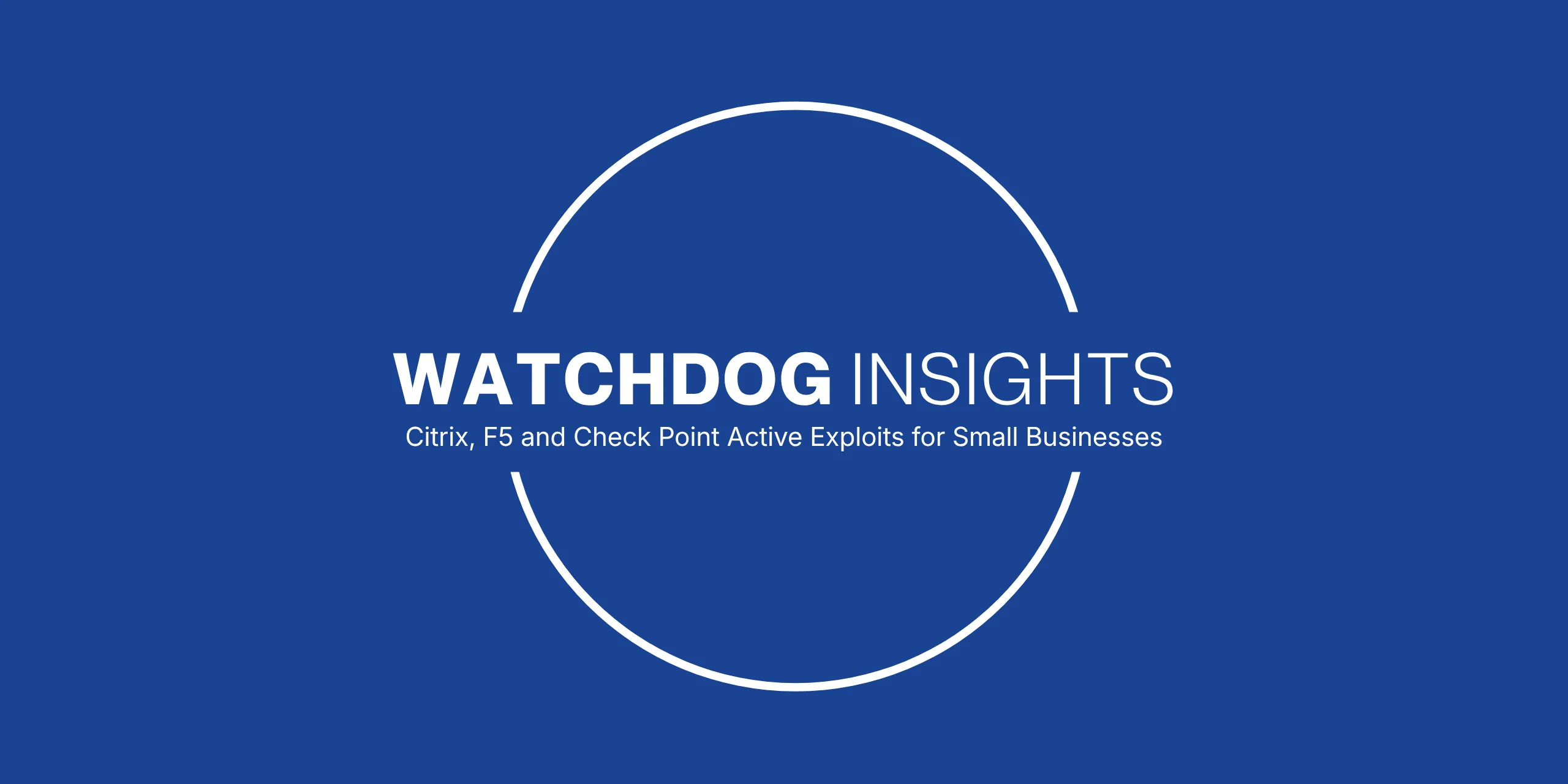 IT technician reviewing Citrix NetScaler, F5 BIG-IP and Check Point security alerts for small businesses